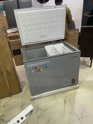 Skyrun 260L Freezer for Bulk Shopping and Meal Preparation