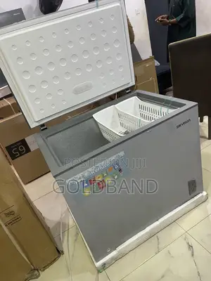 Skyrun BD 260A 260-Litre Freezer – A Spacious Storage Choice