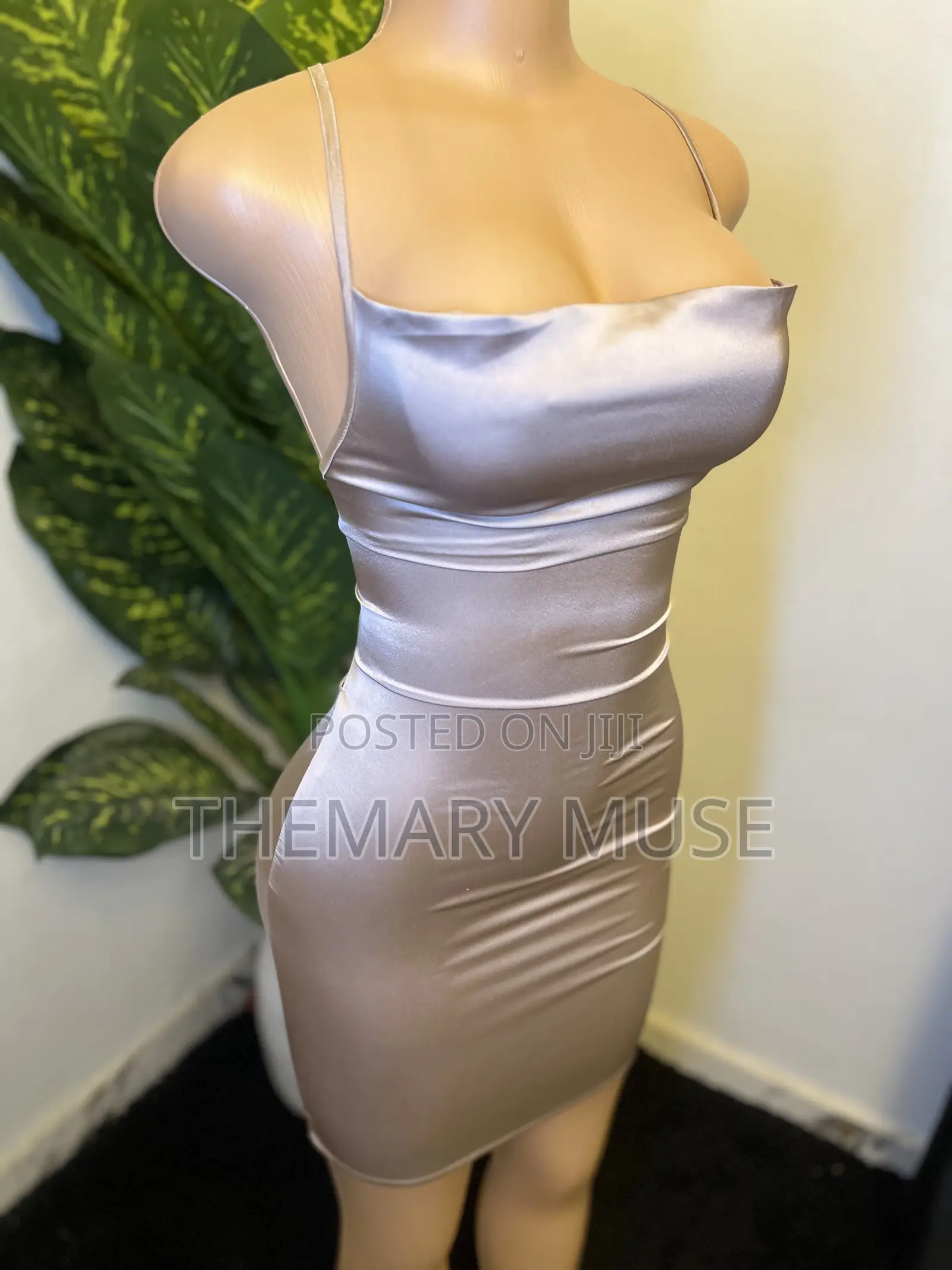 The Champagne Corset Silhouette