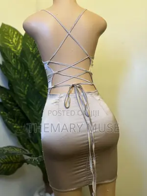 The Champagne Corset Silhouette