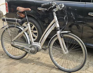 Dutch VOGUE City E-Bike, Electric Bicycle