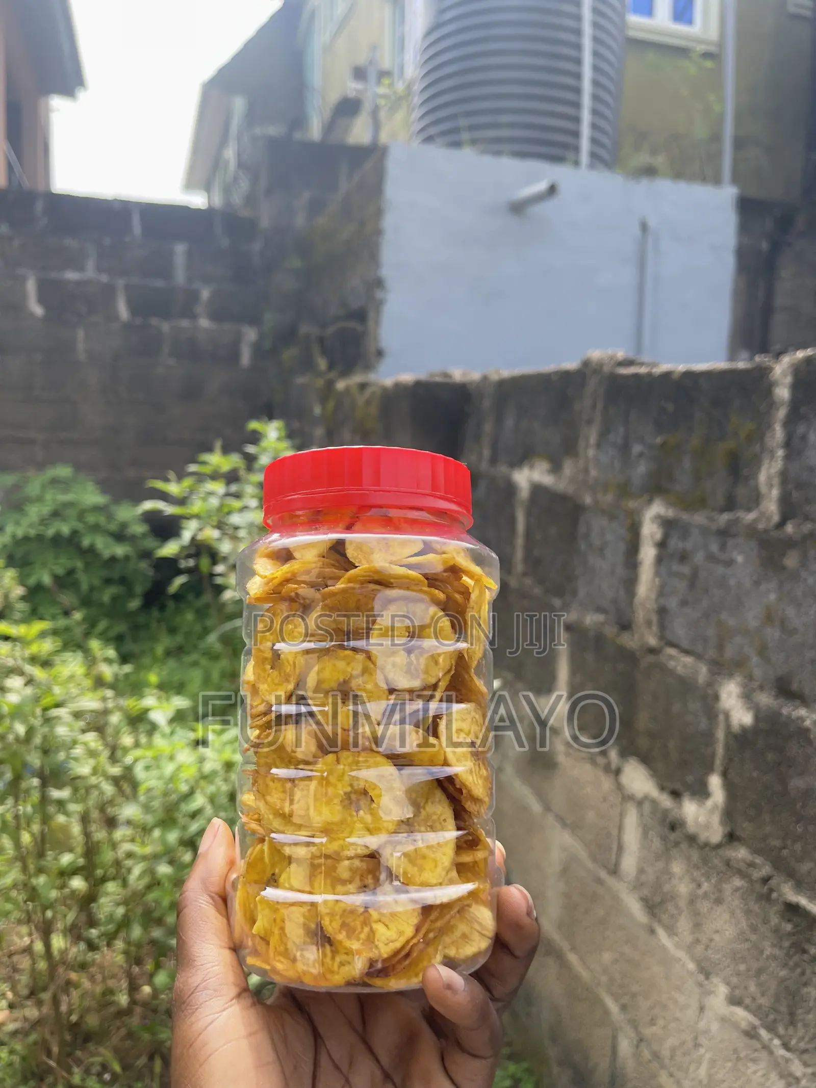 Plantain Chips