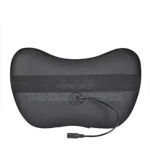 Car and Home Massager