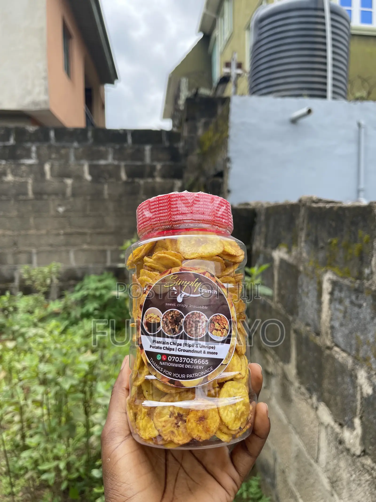 Plantain Chips