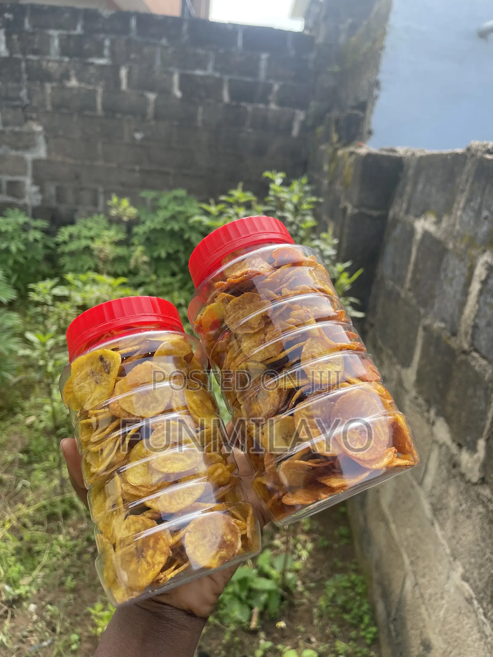 Plantain Chips
