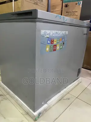 Skyrun BD 260A 260L Chest Freezer – Everyday Freezing Made Easy