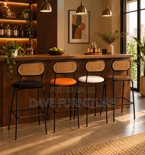 Unique Modern Cane-Back Barstool