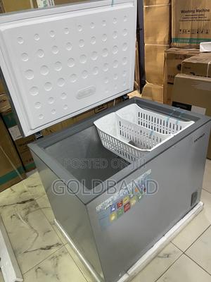 Skyrun BD 260A Deep Freezer – Spacious Frozen Food Organizer