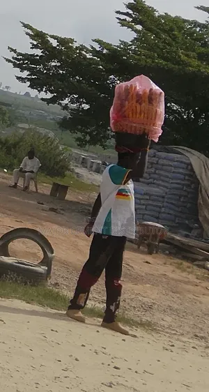 3x Dangote Cement
