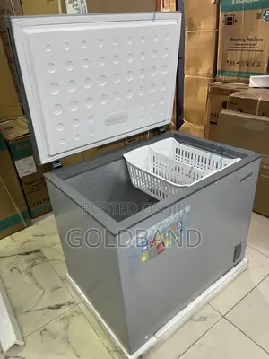 Skyrun 260-Litre Chest Freezer for Household Food Supplies
