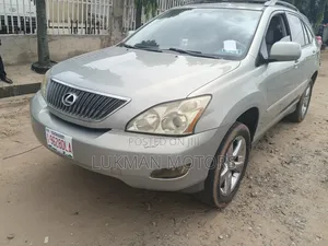Lexus RX 330 2004 Gray