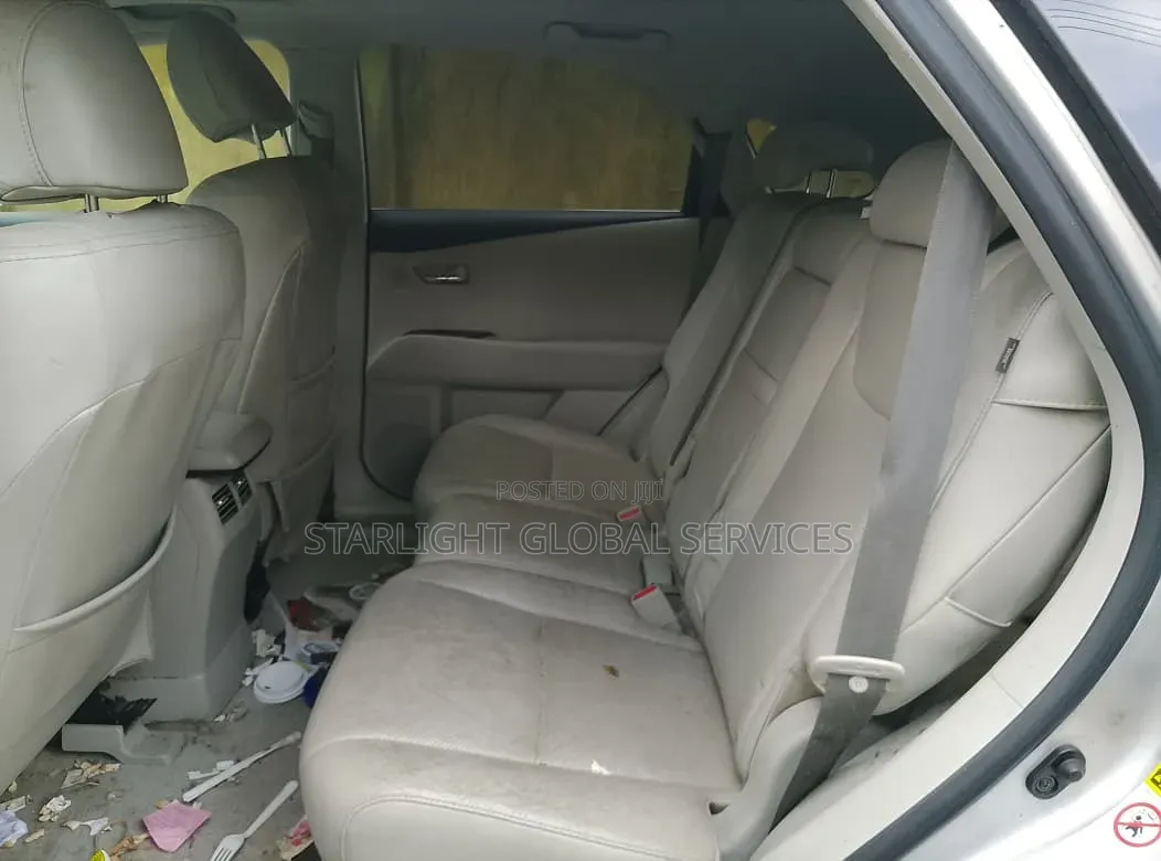 Lexus RX 350 2010 Silver