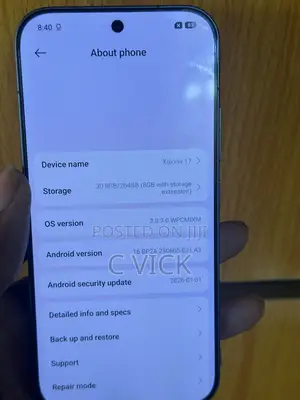 Xiaomi 17 256 GB Black