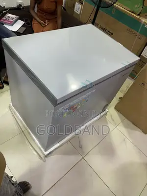 Skyrun BD 260A Freezer – Spacious Cooling for Daily Needs