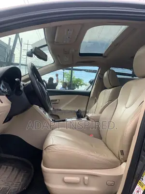 Toyota Venza 2010 Gray