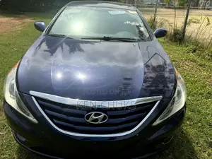 Hyundai Sonata 2012 Blue