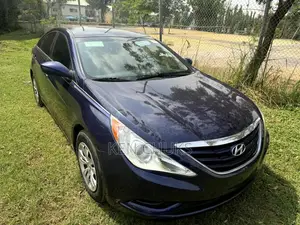 Hyundai Sonata 2012 Blue