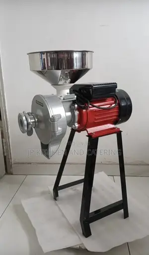 Commercial Electric Grain Grinding Machine (Wet and Dry Grinder)