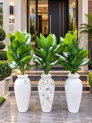 Outdoor and Indoor Flower and Pot