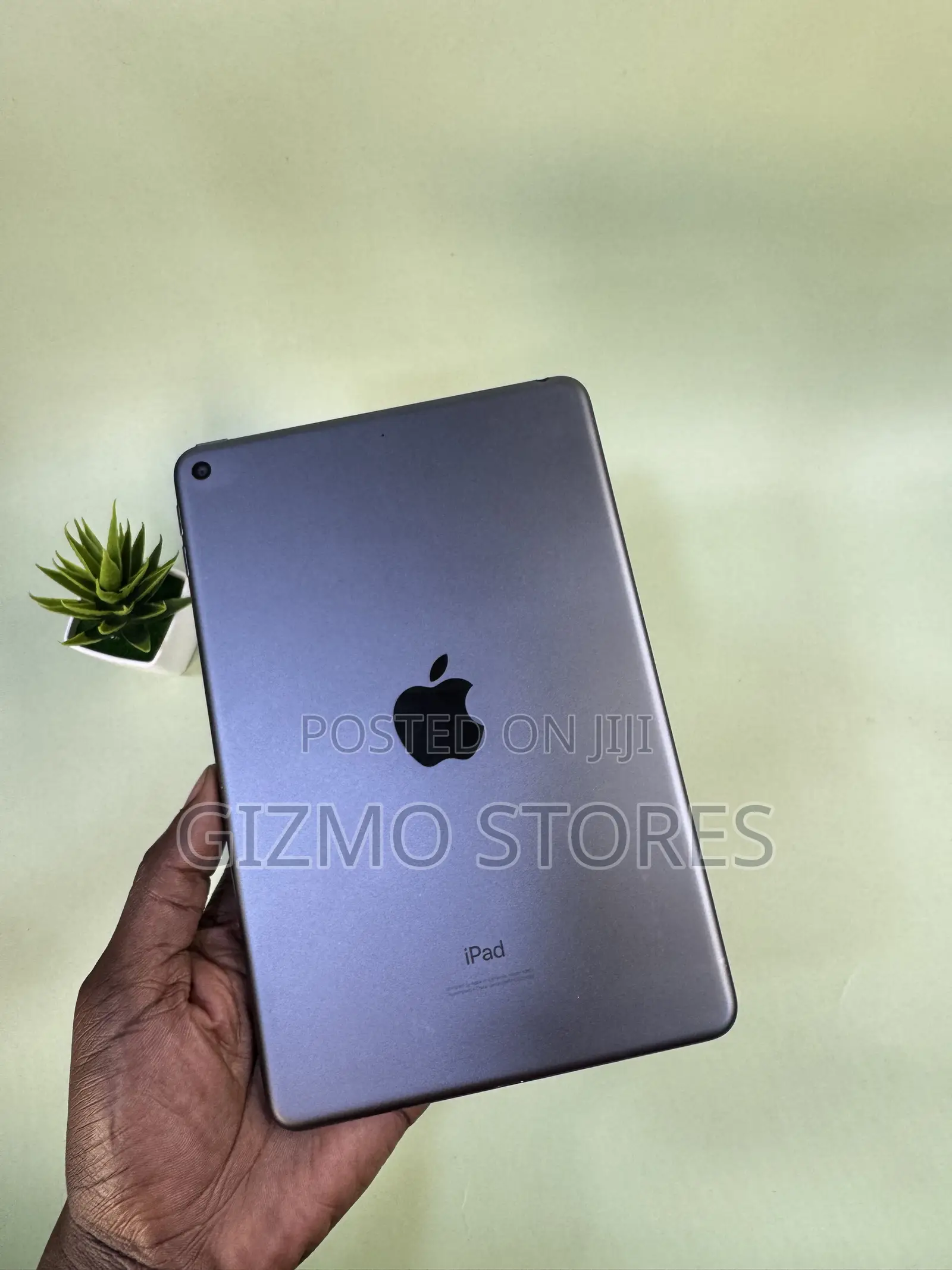 Apple iPad mini 5 (2019) 256 GB Gray