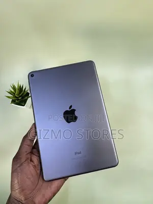 Apple iPad mini 5 (2019) 256 GB Gray