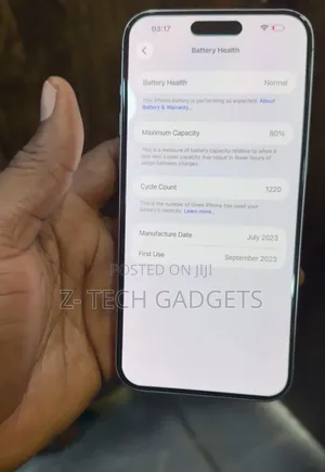 Apple iPhone 15 Pro Max 512 GB Silver