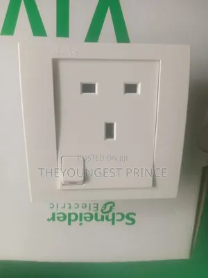 Switch and Socket