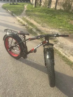Mountain Bikes
