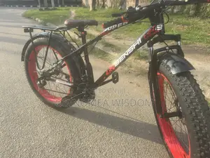 Mountain Bikes