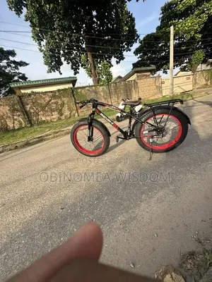 Mountain Bikes