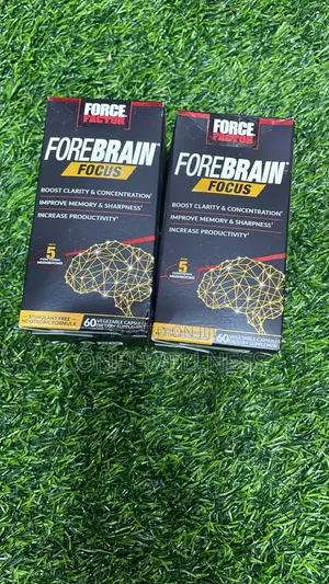 Forebrain Focus