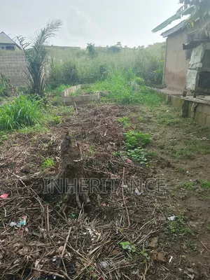 Half Plot of Land at Agric Imagbon Araromi
