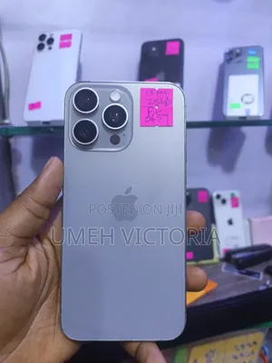 Apple iPhone 15 Pro Max 256 GB Gray