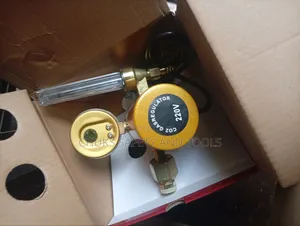 Co2 Gas Regulator 220v