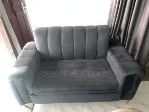 Two Sofa Furniture Set
