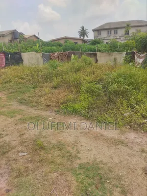Lands and Uncompleted Buildings for Sale