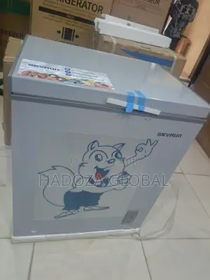 Skyrun High-Efficiency Green Inverter Chest Freezer