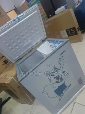 Skyrun Climate-Optimized Inverter Deep Freezer