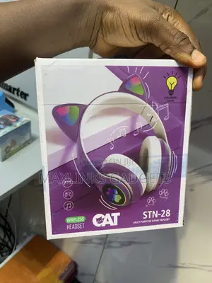 Wireless Cat Headset