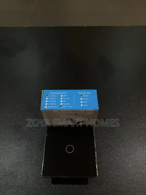 1 Gang (Smart) Switch