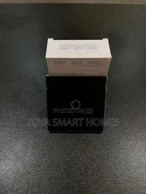 1 Gang (Smart) Switch