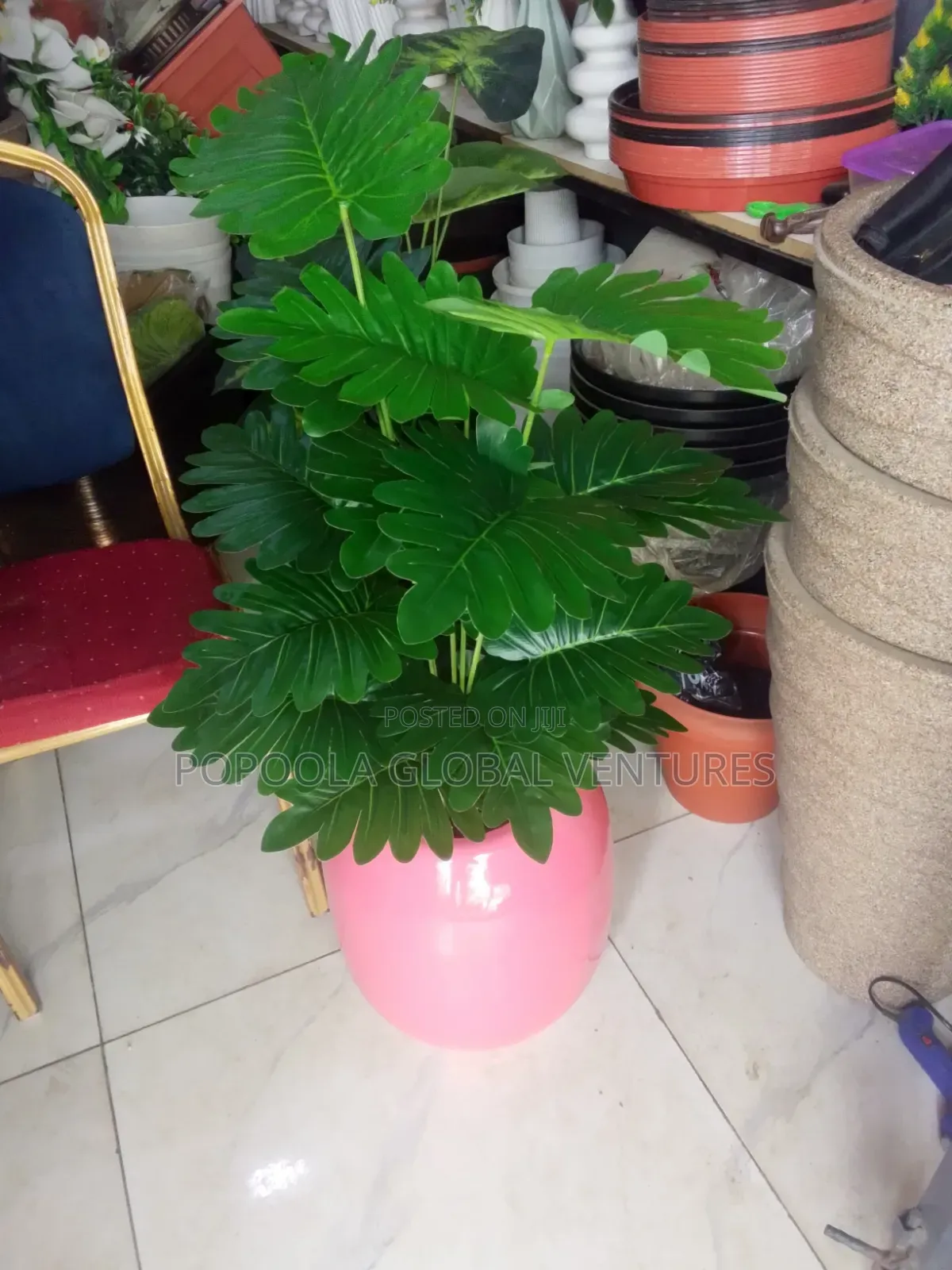 Flower Pot and Flower