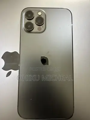 Apple iPhone 12 Pro Max 128 GB Gray