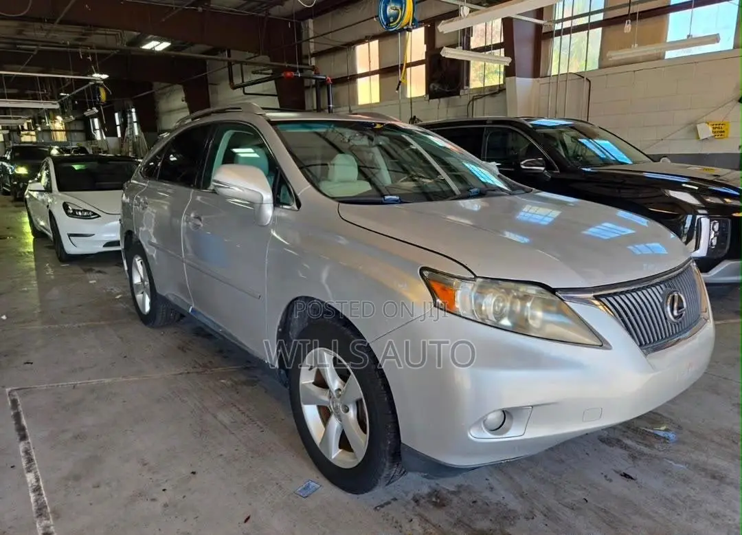 Lexus RX 2010 Silver