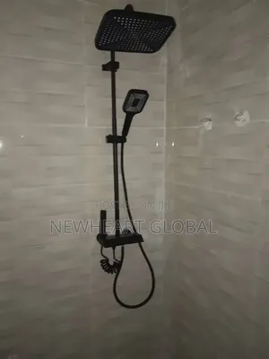 England Standard Black Standard Shower
