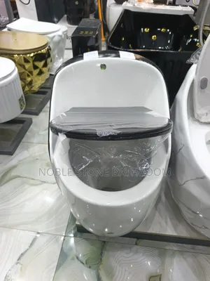 Standard Toilet Seat