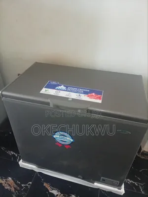 Thermocool Deep Freezer 205L