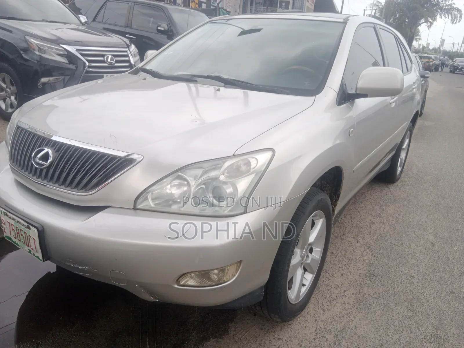 Lexus RX 2008 Silver