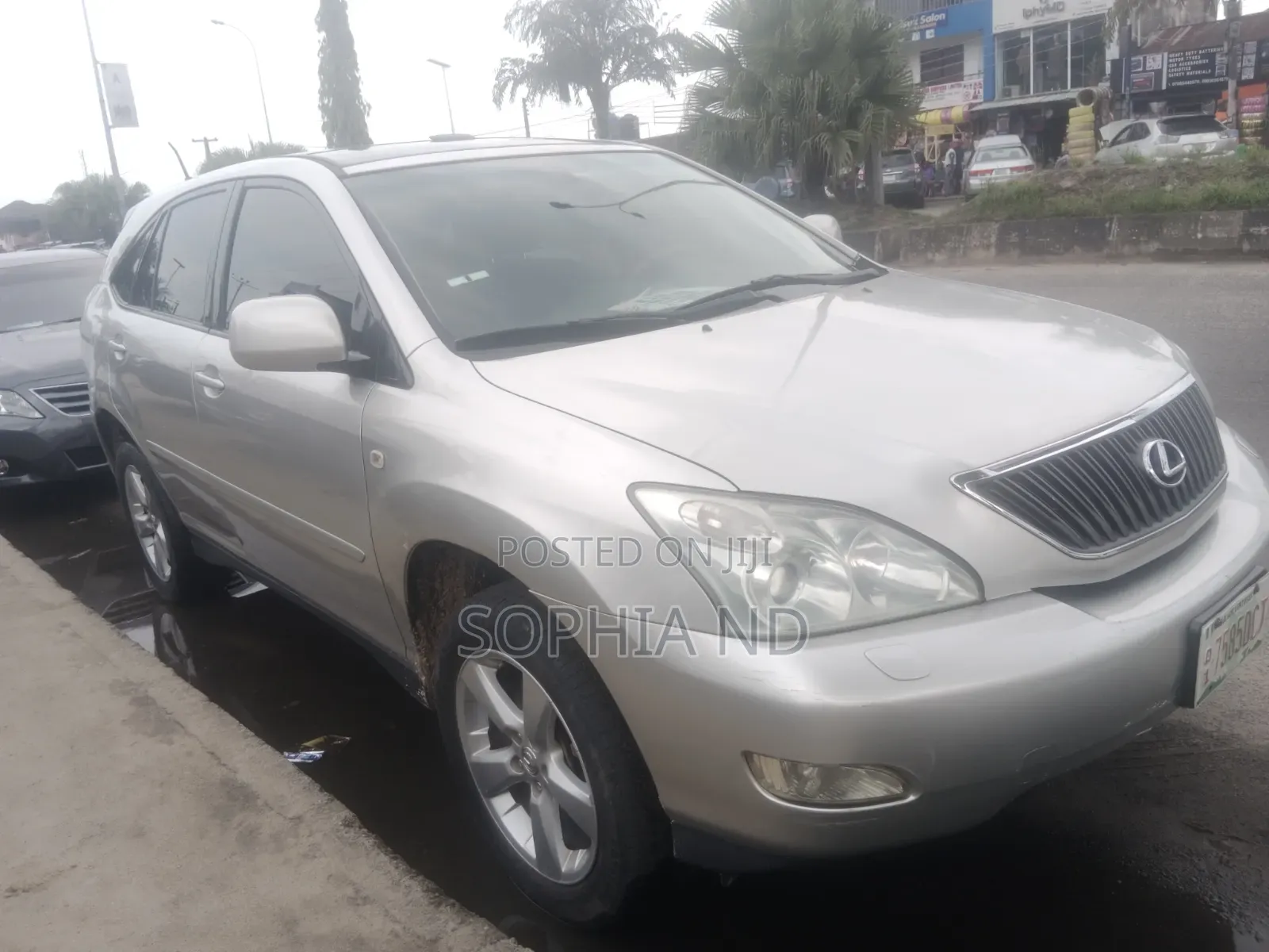 Lexus RX 2008 Silver