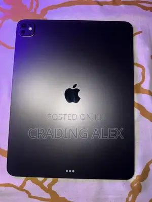 Apple iPad Pro 13 (2025) 256 GB Gray
